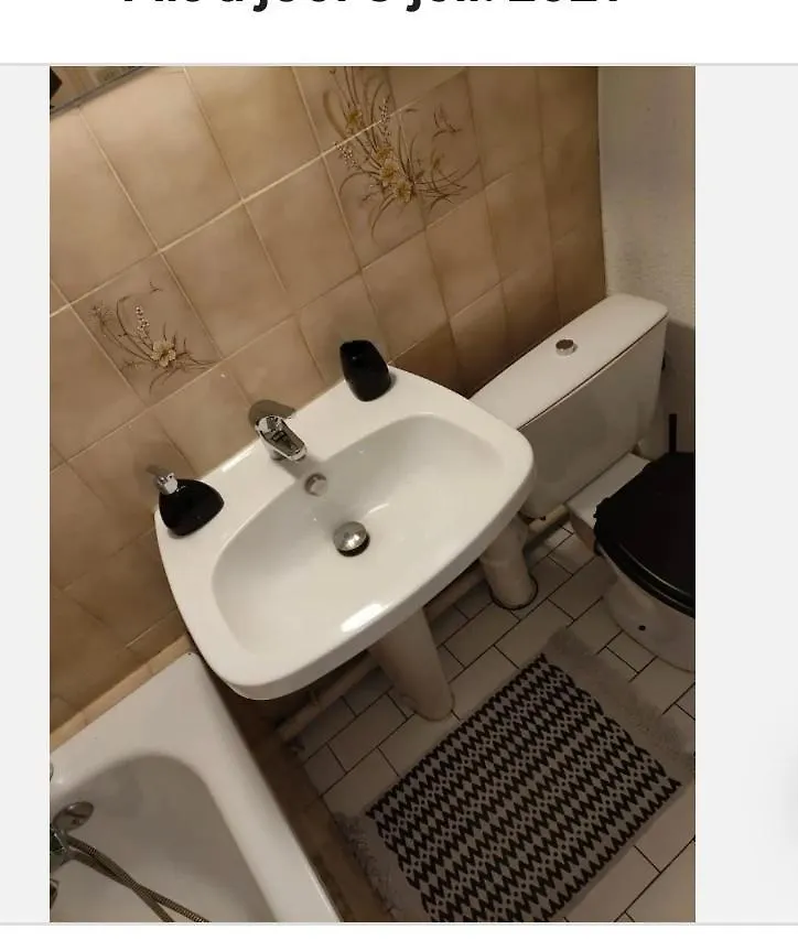 Homestay Loux Apartment Lyon