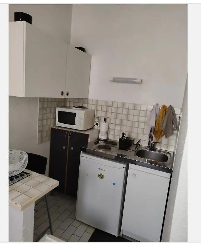Loux Apartment Lyon Homestay