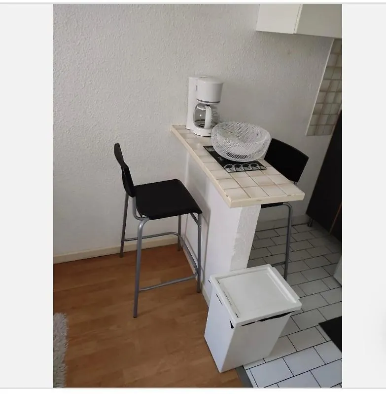 Homestay Loux Apartment Lyon France